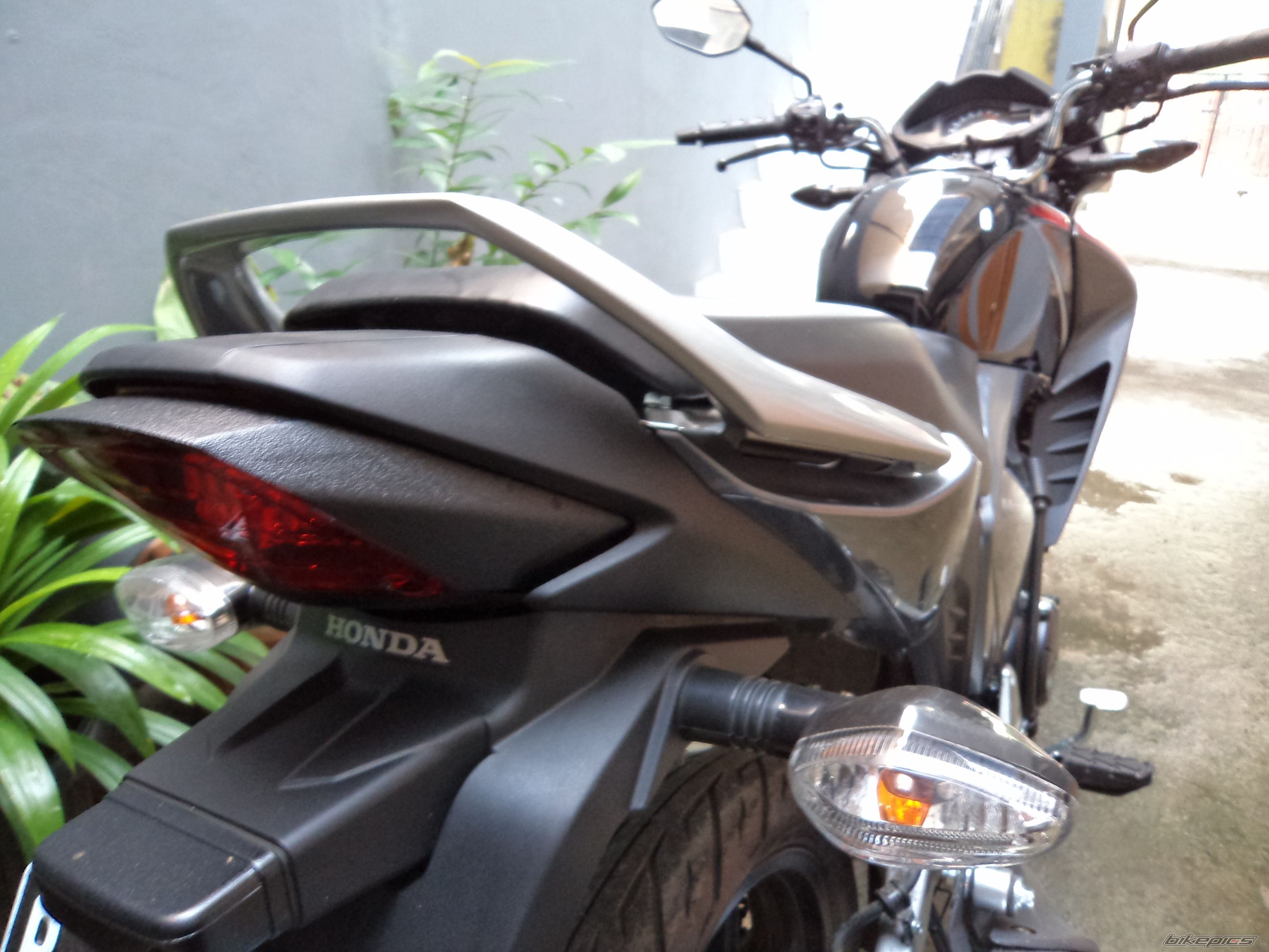 Photo 2331068