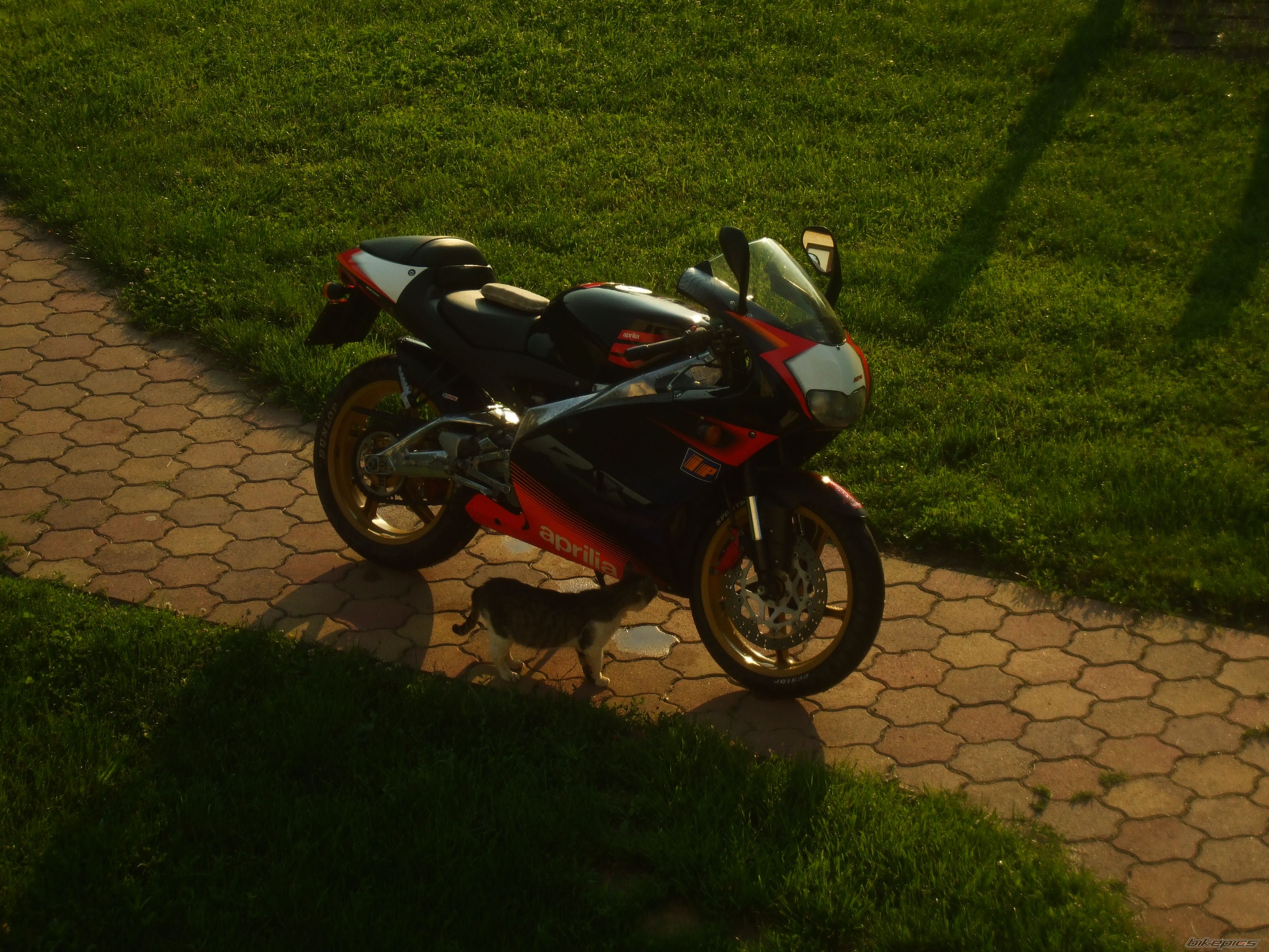 Photo 2331087