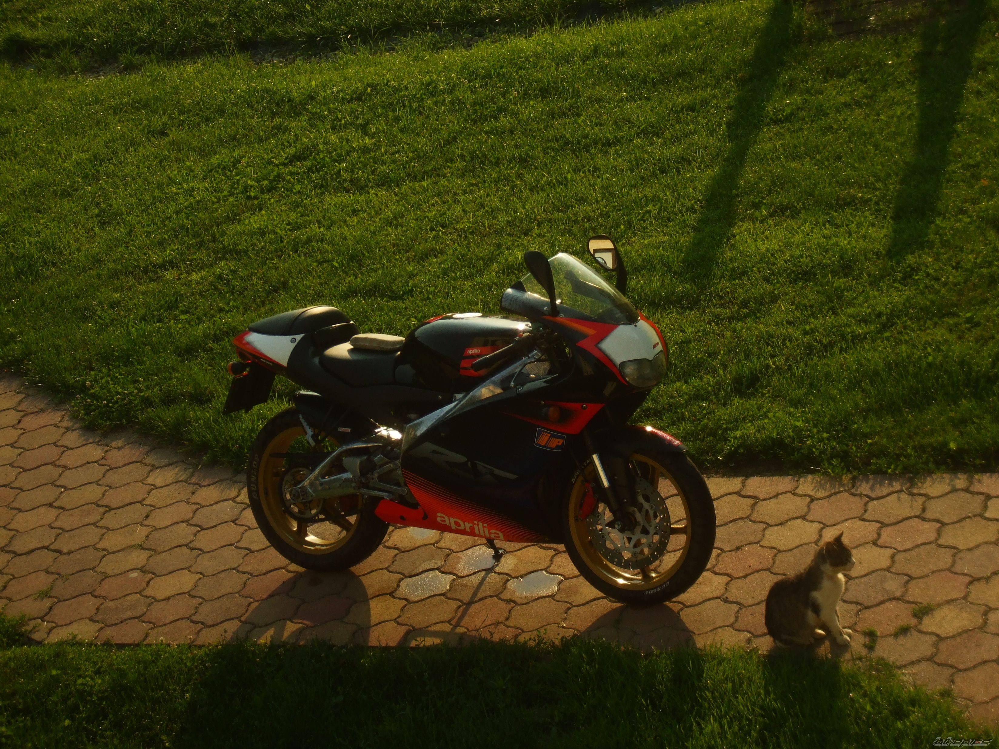 Photo 2331088