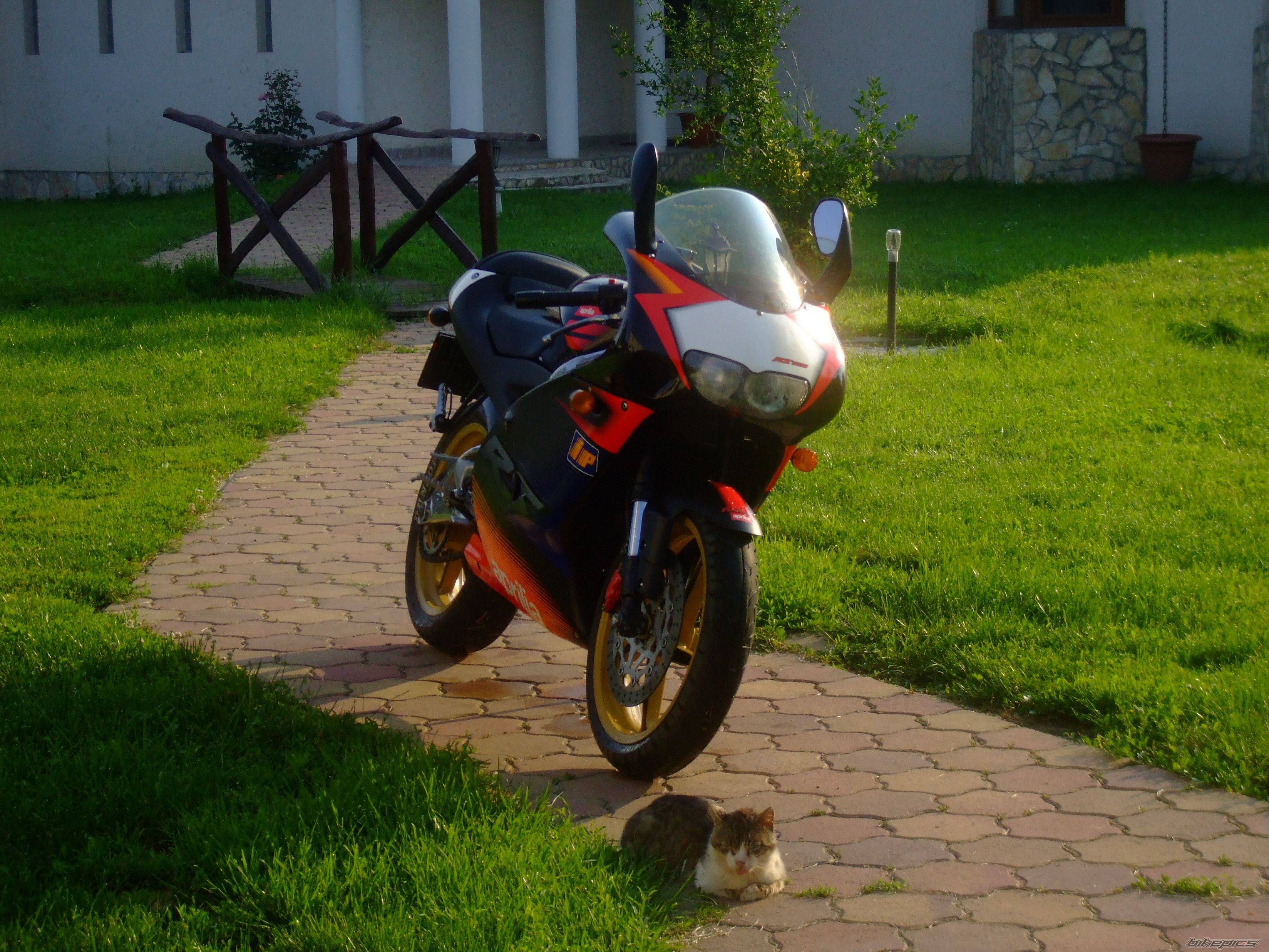 Photo 2331090