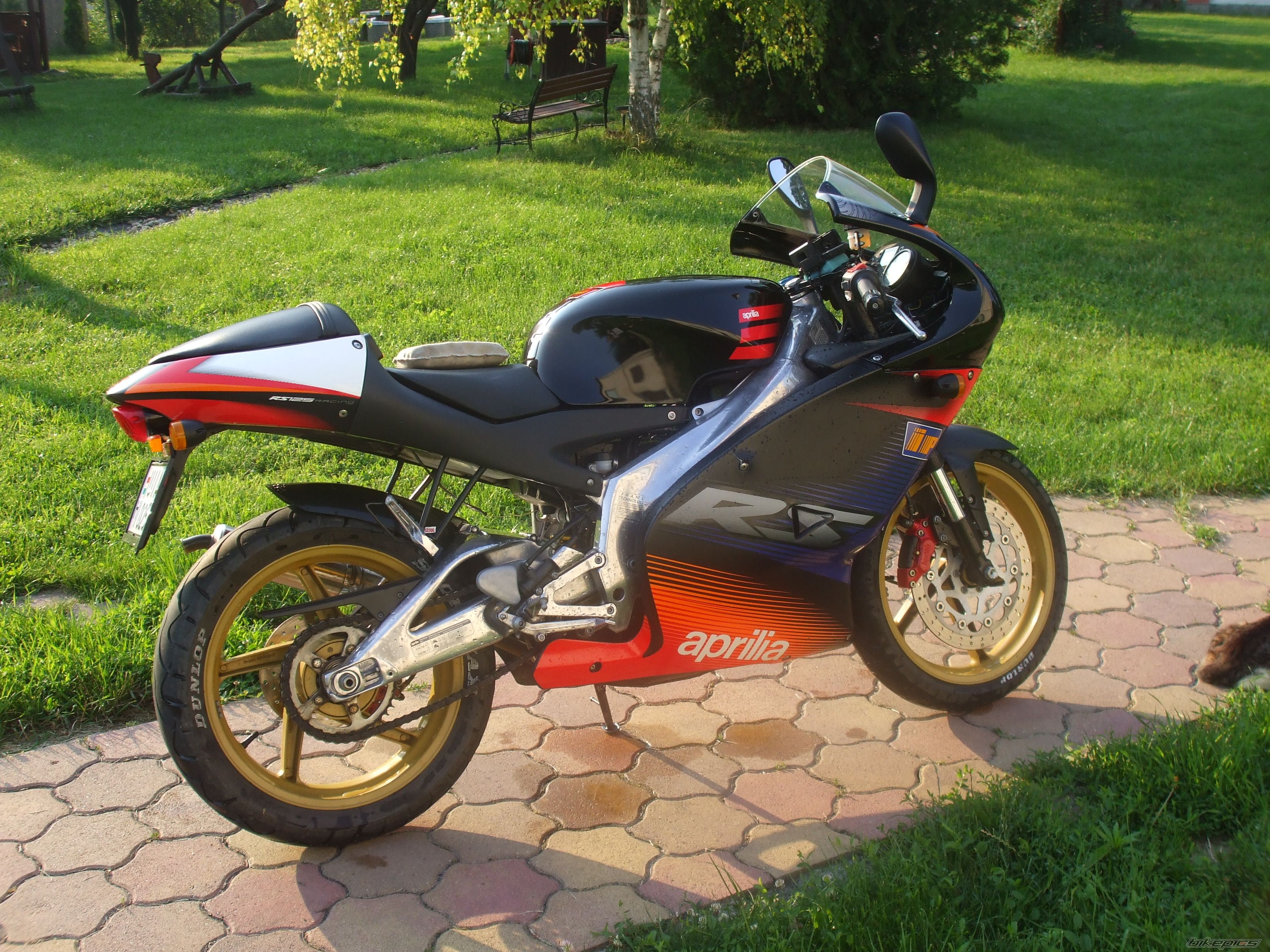 Photo 2331093