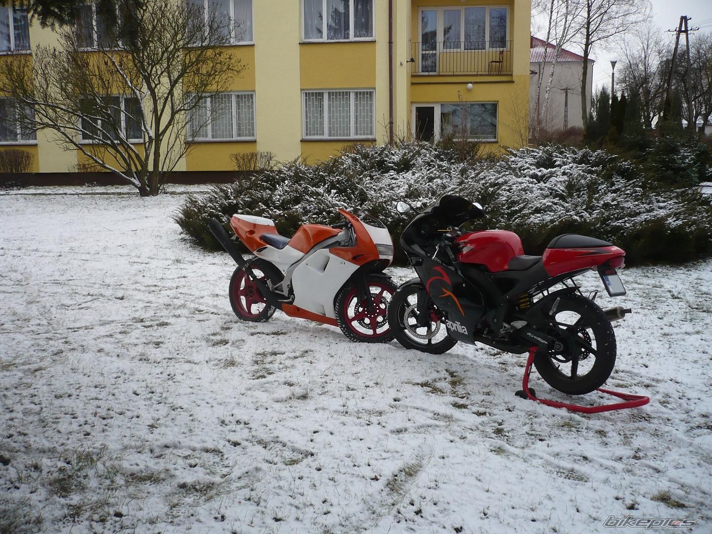 Photo 2331198