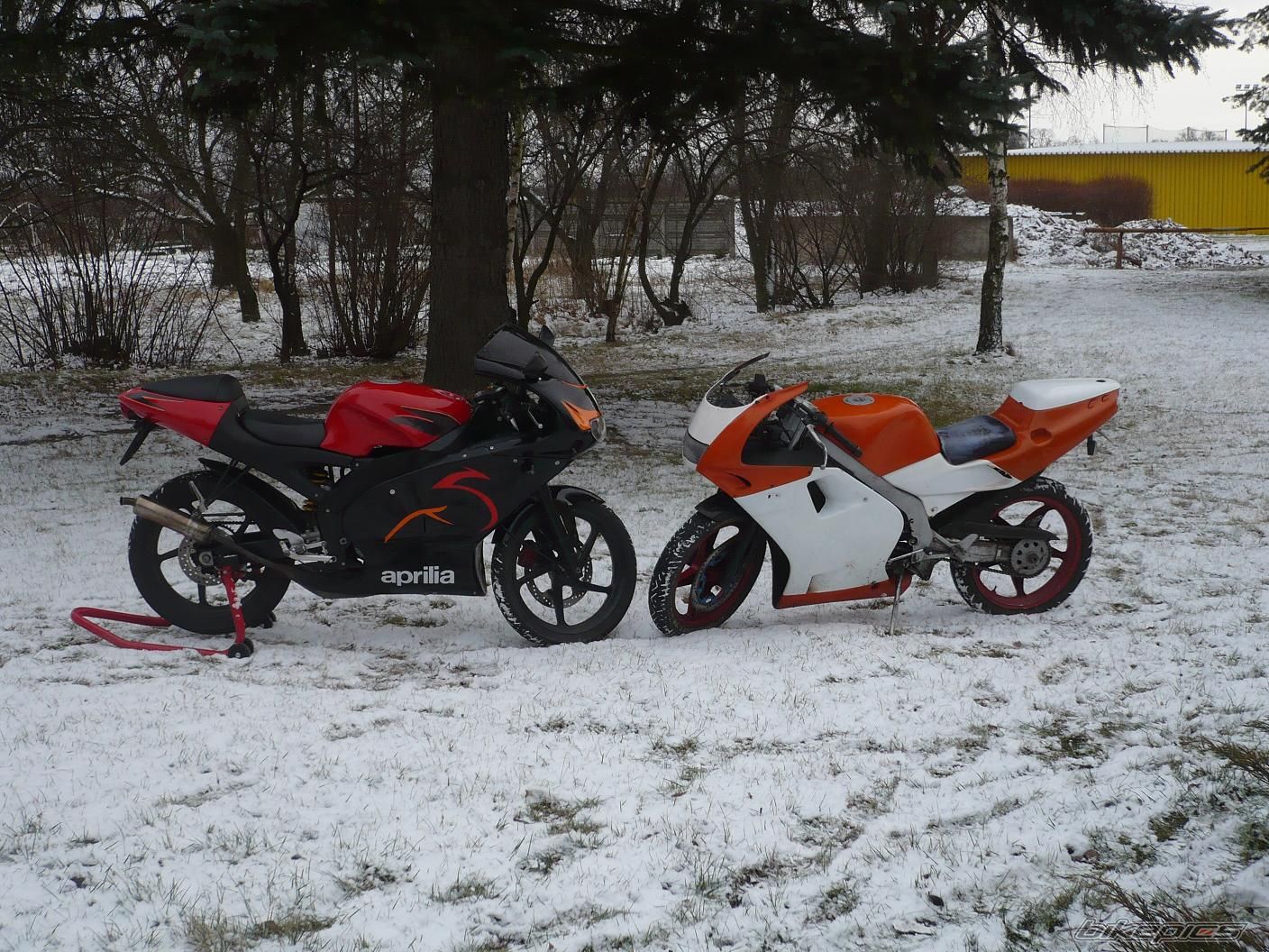 Photo 2331199