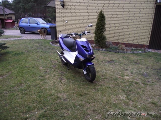 Photo 2331289
