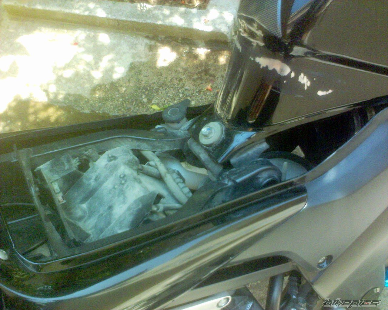 Photo 2331321