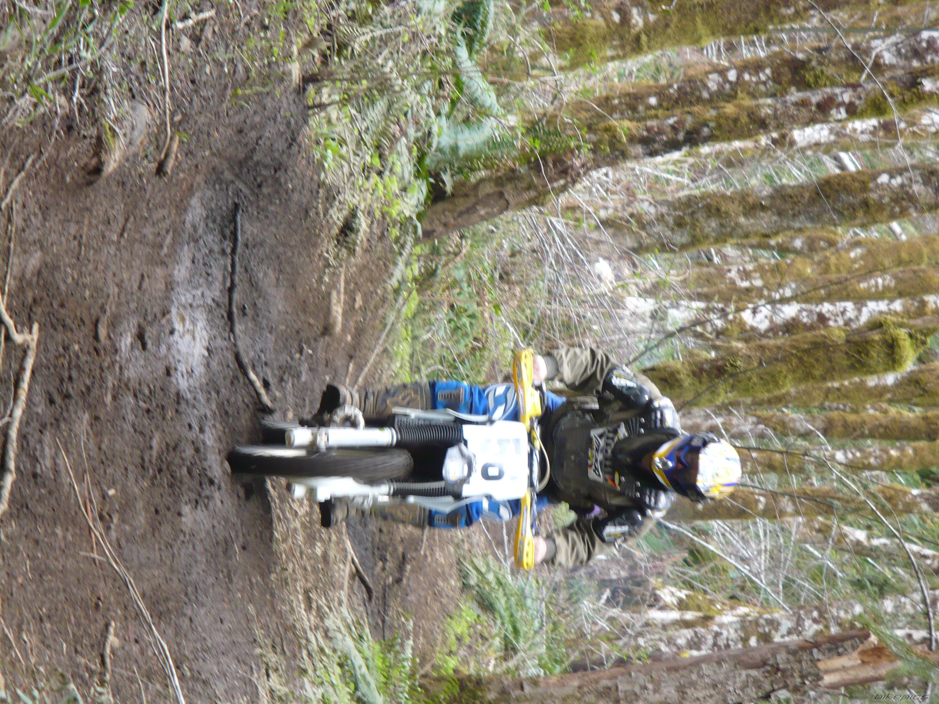Photo 2331383