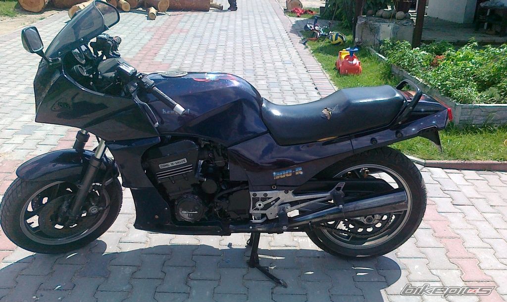 Photo 2331448