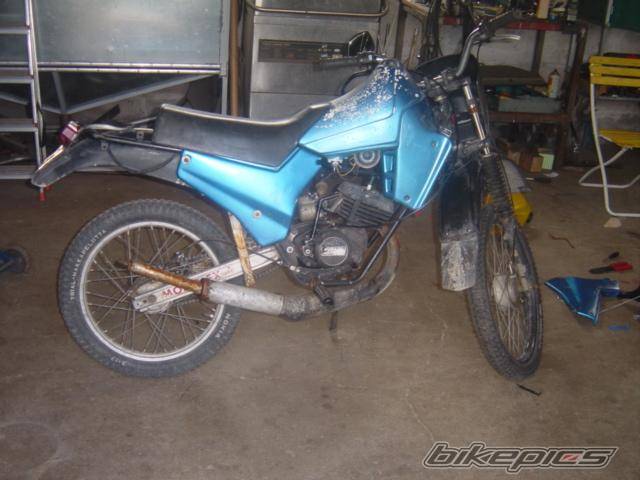 Photo 233145