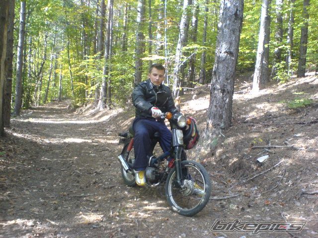 Photo 2331454
