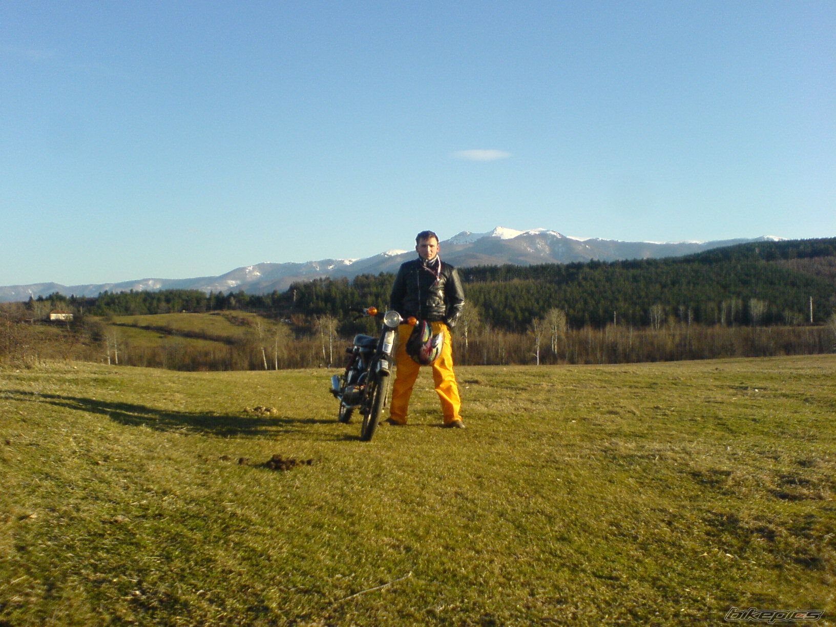 Photo 2331455