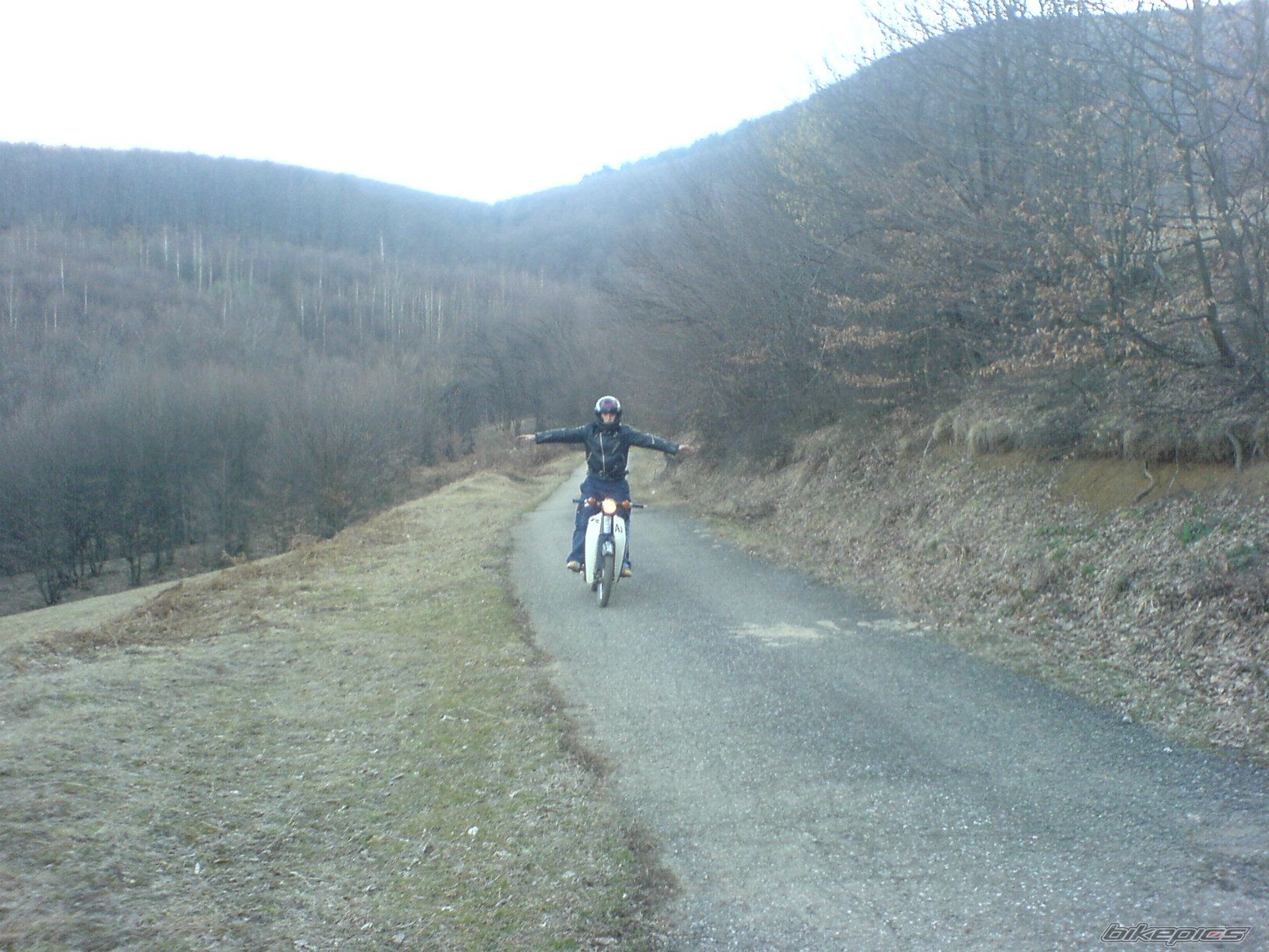 Photo 2331457
