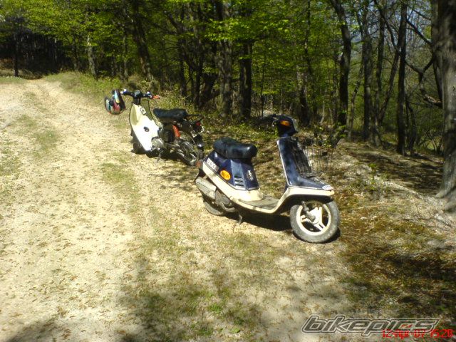 Photo 2331458