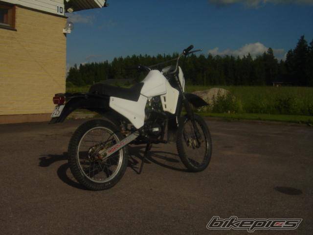 Photo 233147