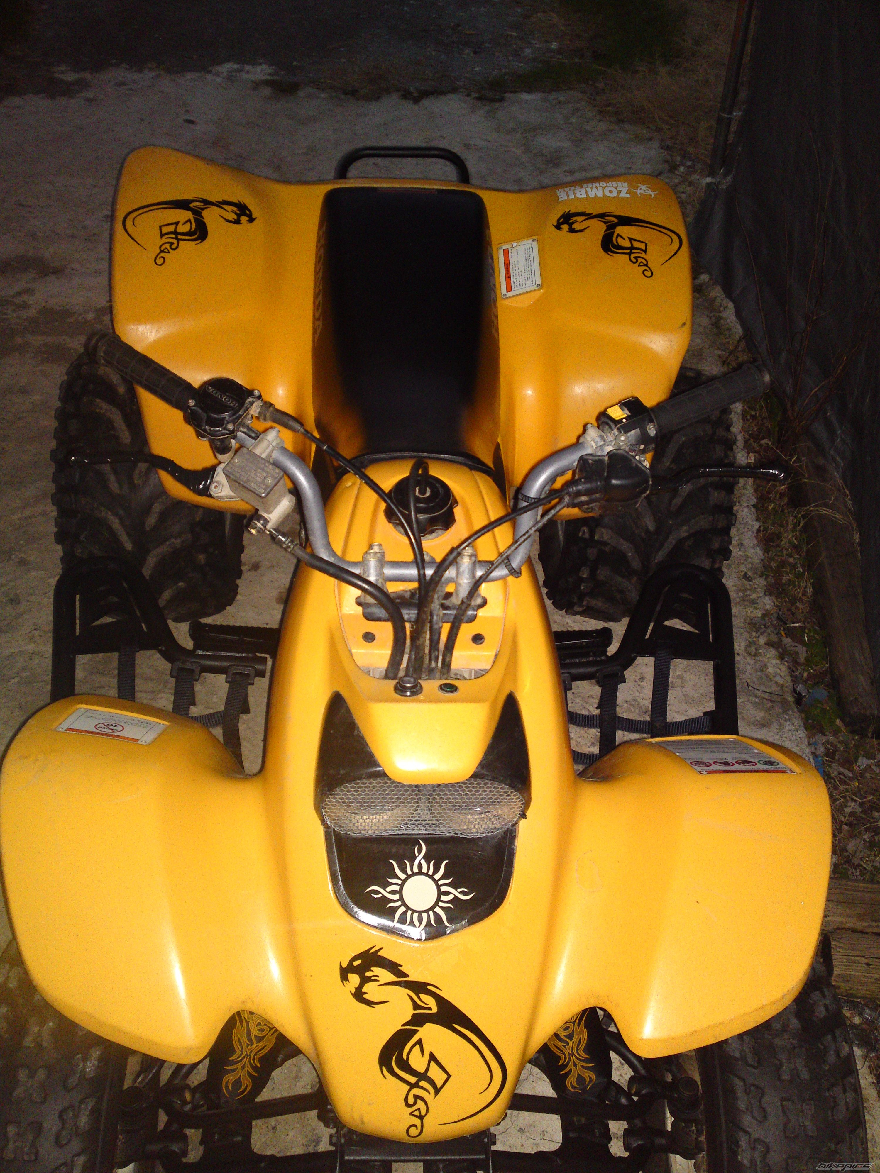 Photo 2331474
