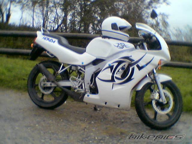 Photo 233149