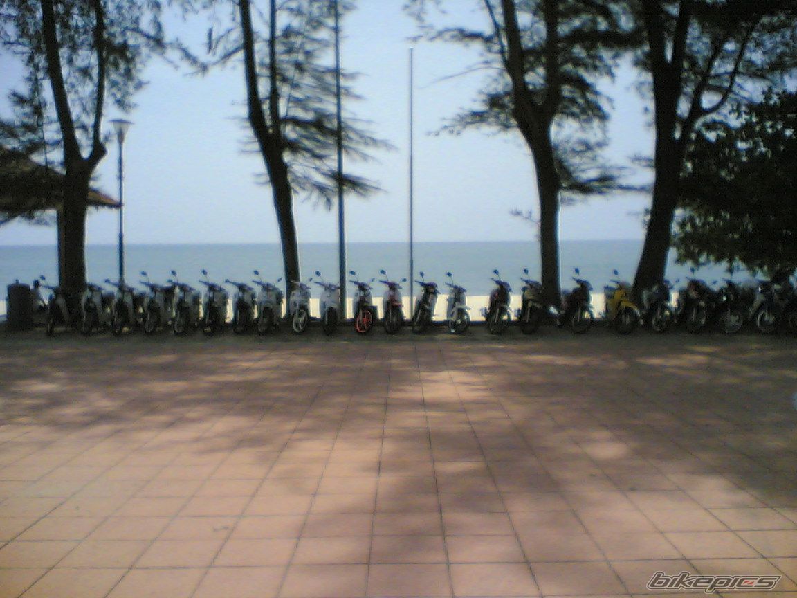 Photo 2331516