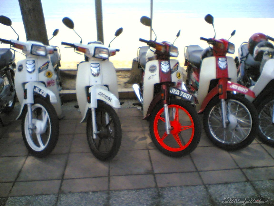 Photo 2331519