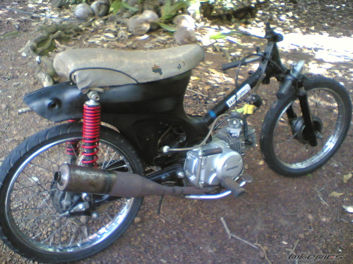 Photo 2331522