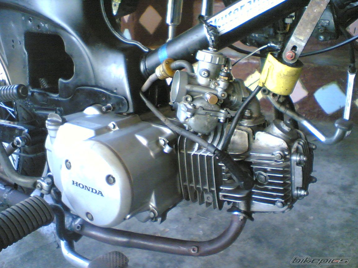 Photo 2331528
