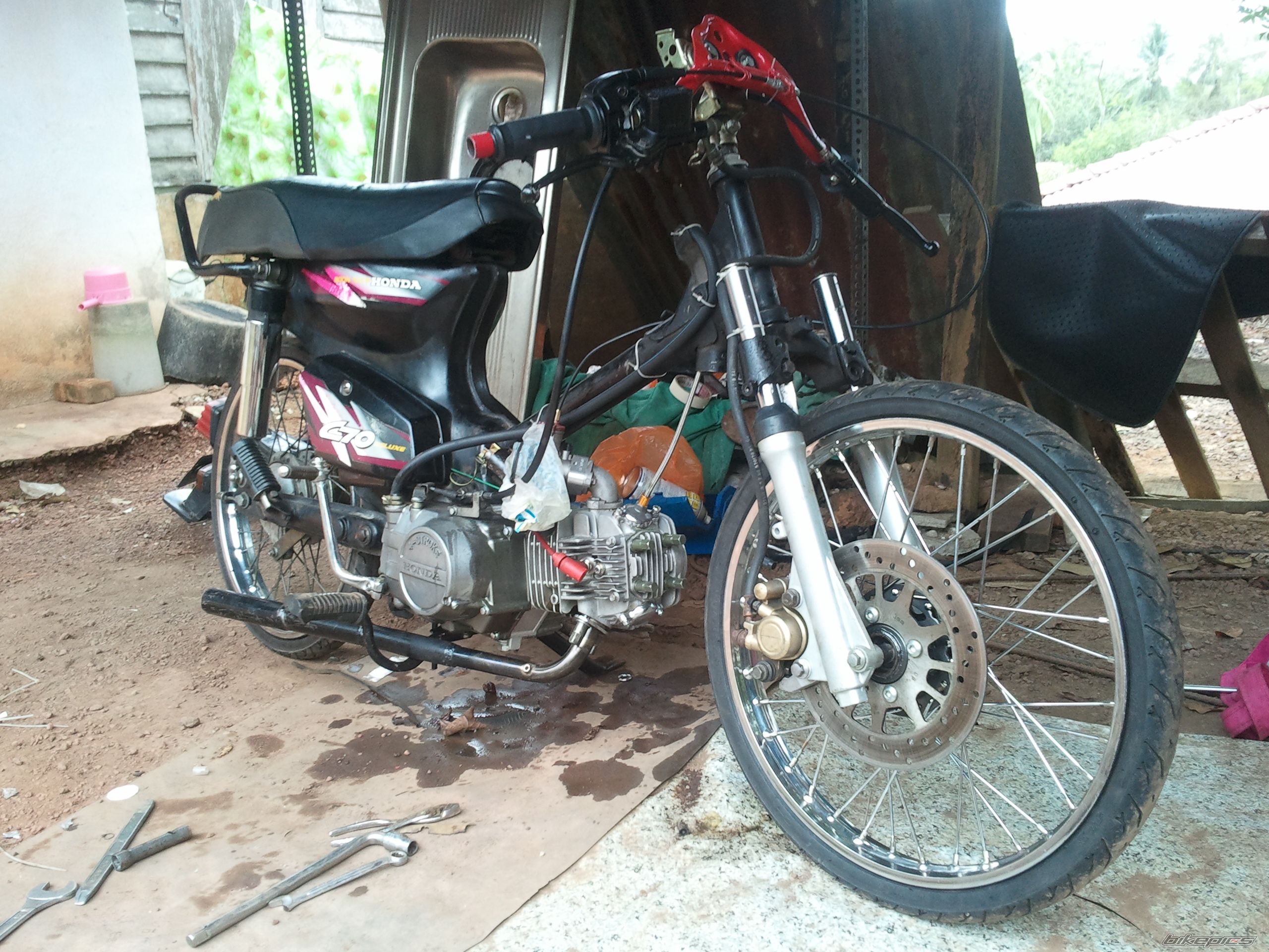 Photo 2331529