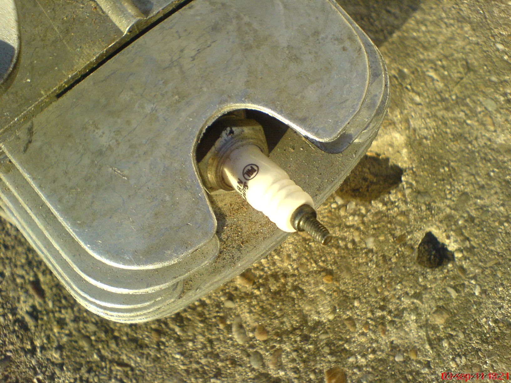 Photo 2331569