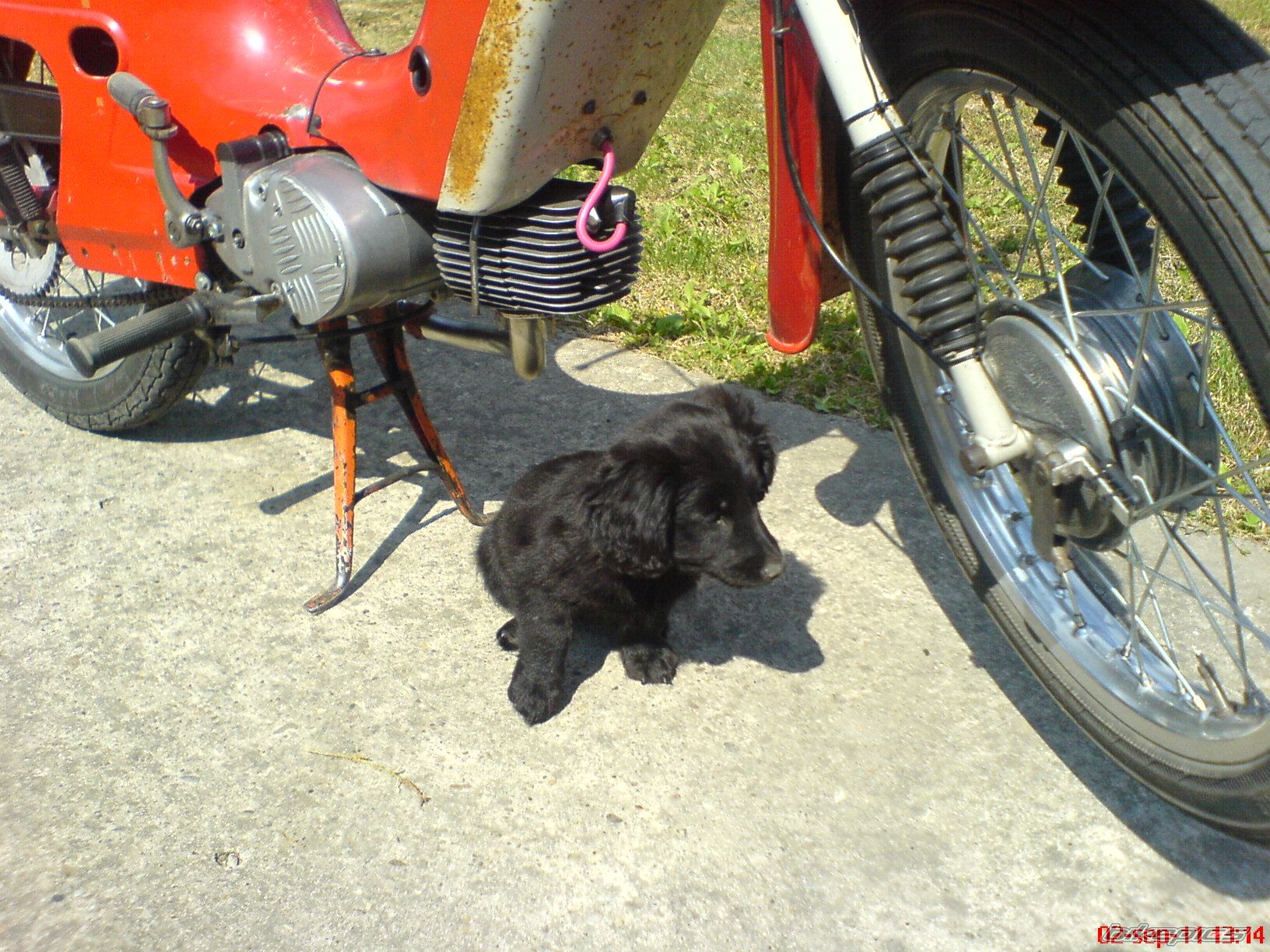 Photo 2331584