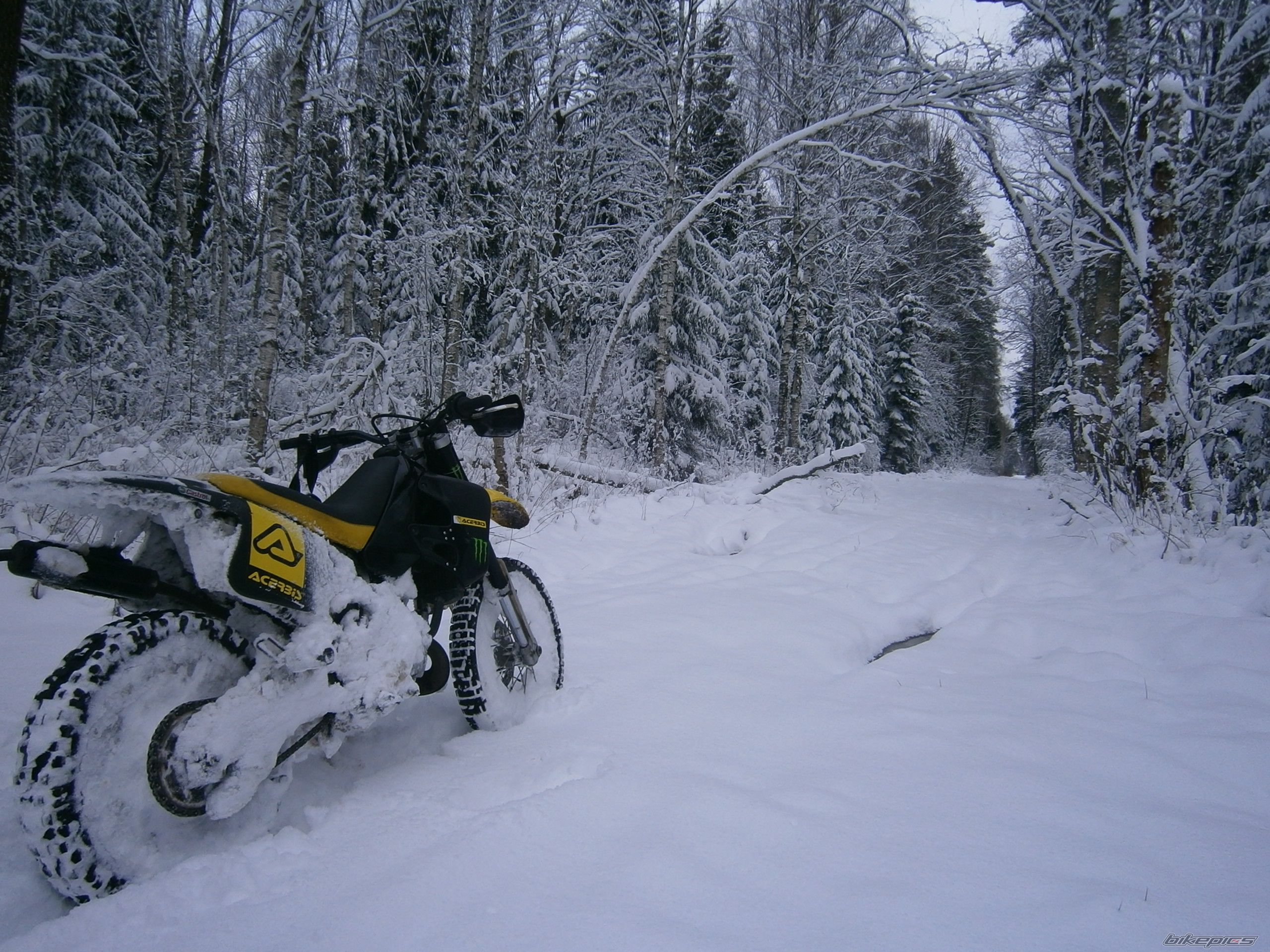 Bike Photo 2331665