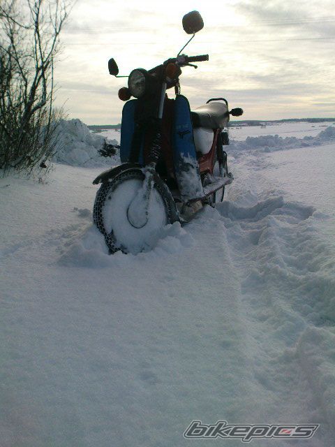 Photo 2331699