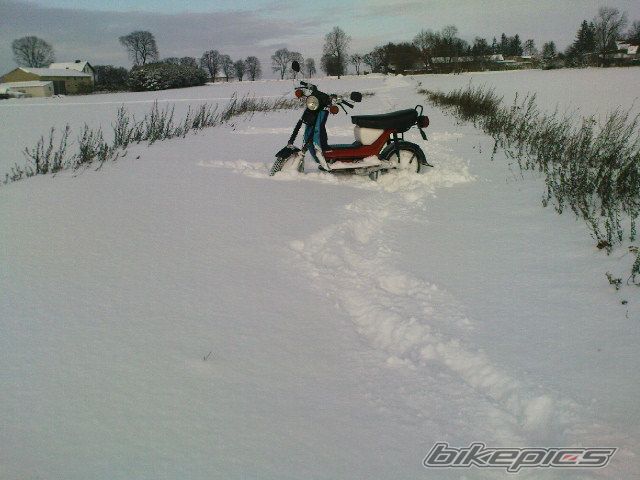 Photo 2331701