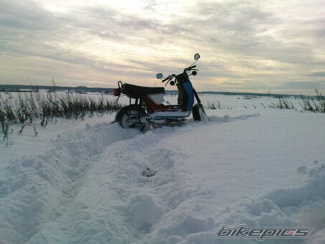 Photo 2331702