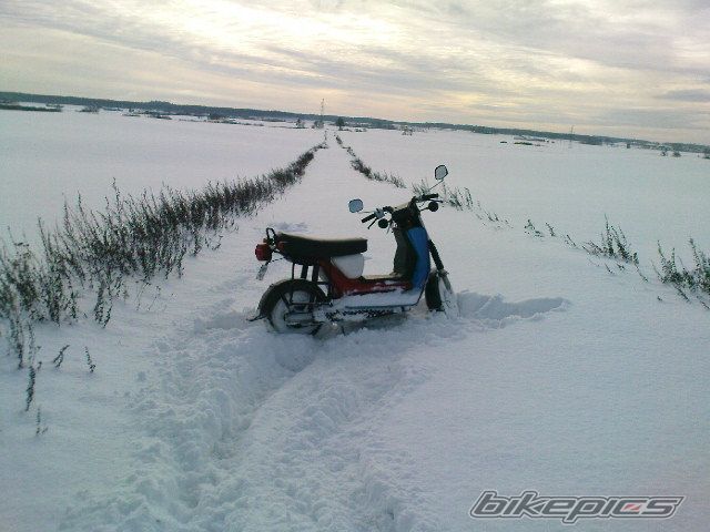 Photo 2331703