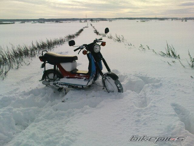 Photo 2331704
