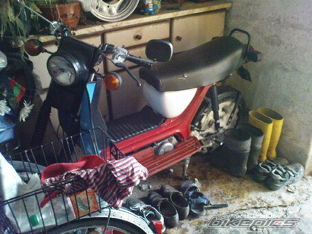 Photo 2331705