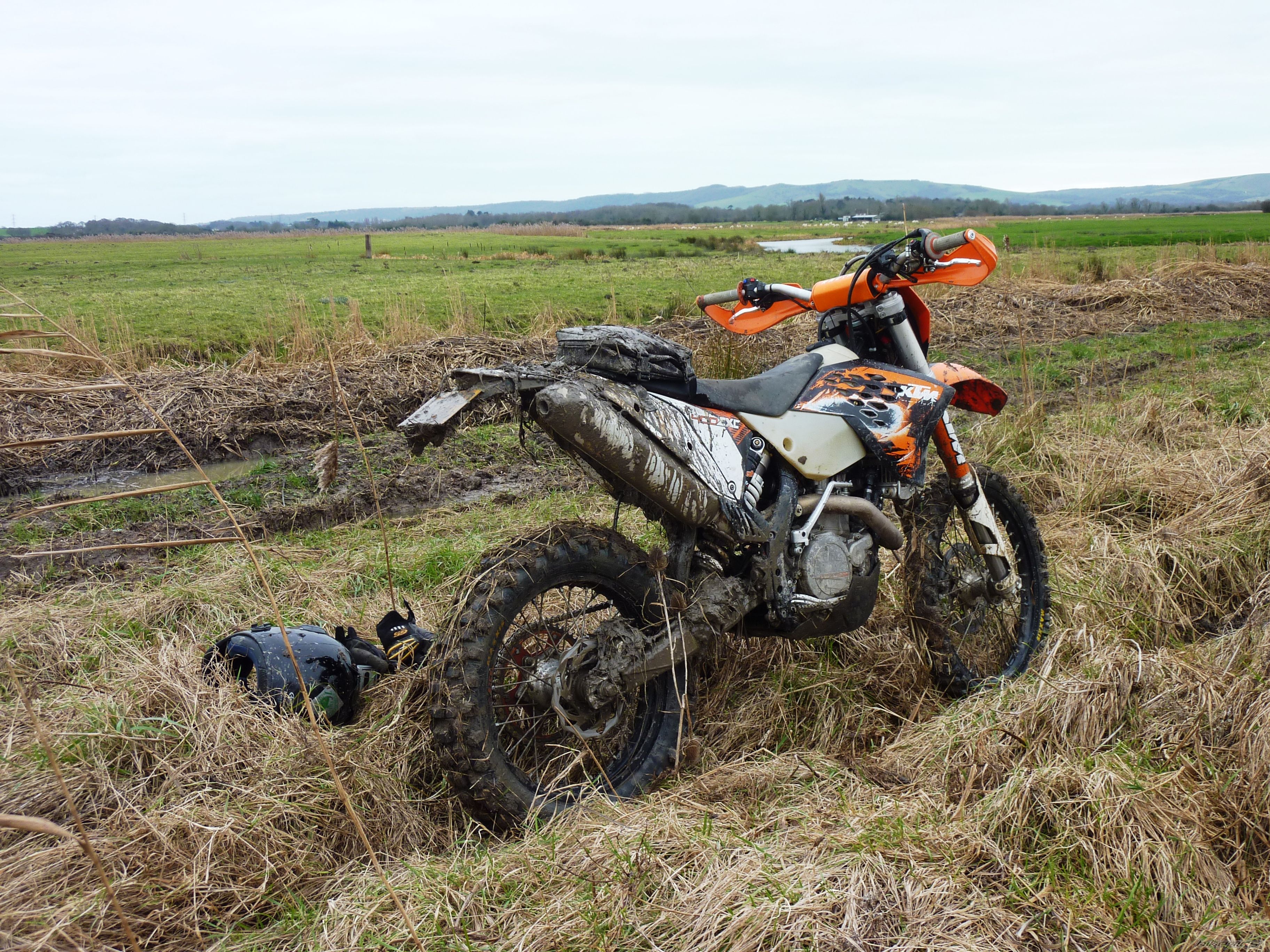 Photo 2331714