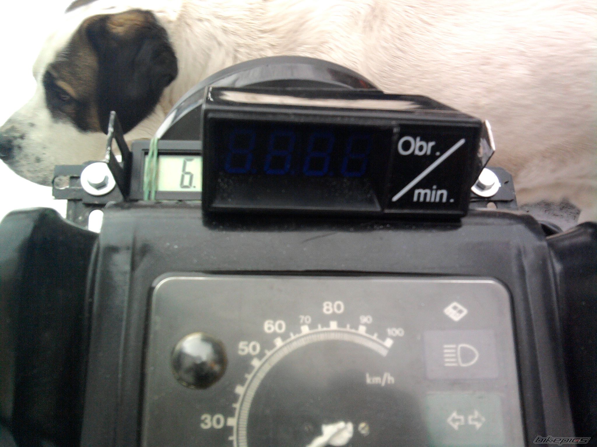Photo 2331736
