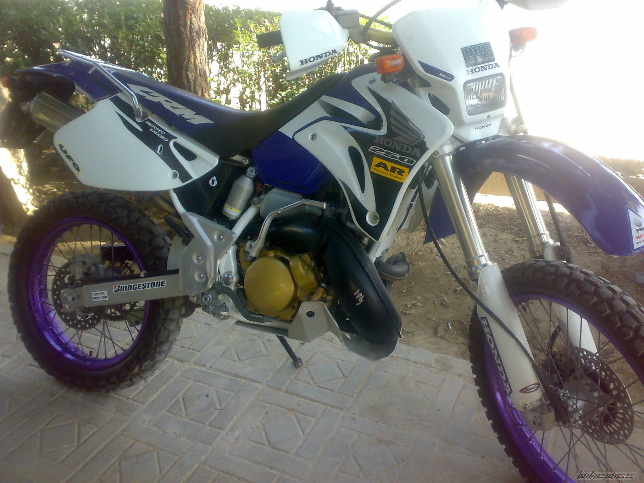 Photo 2331762