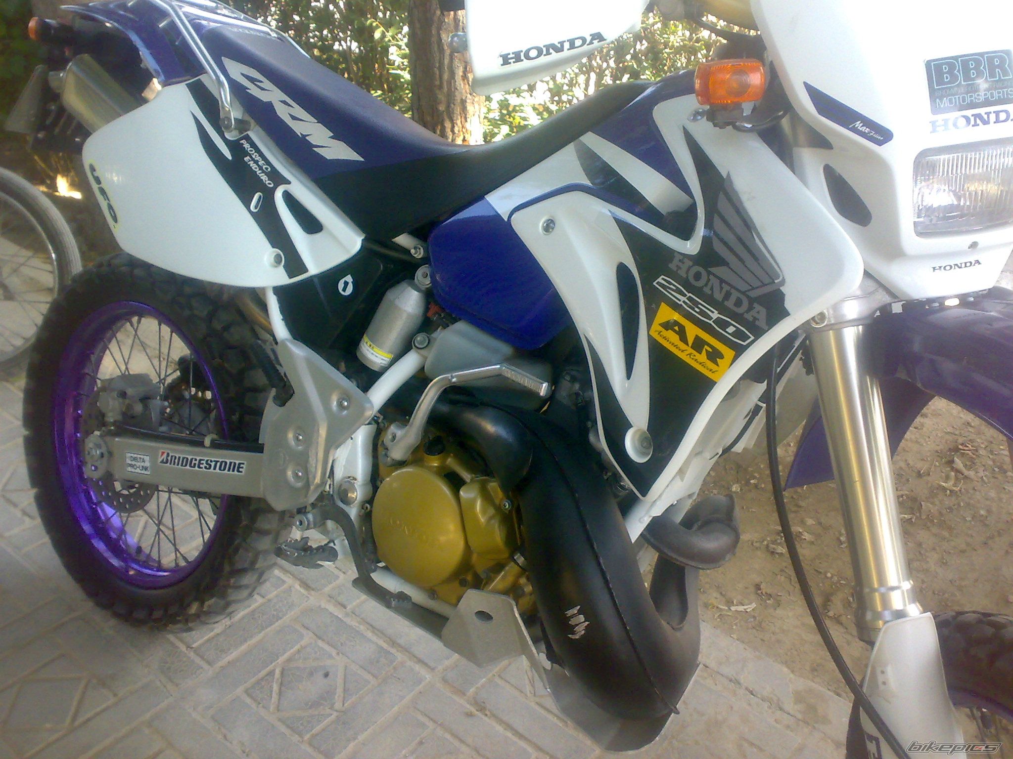 Photo 2331764