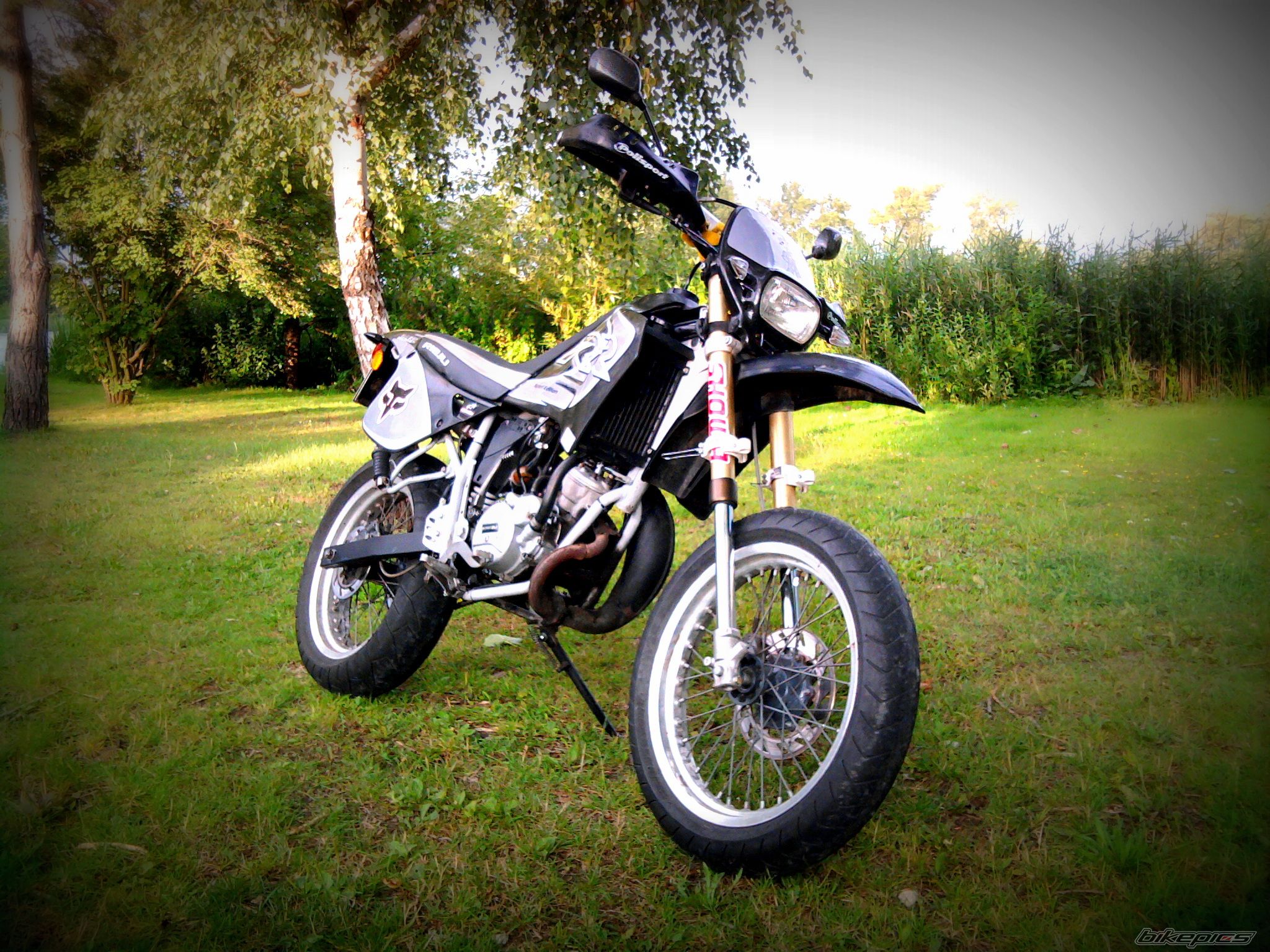 Photo 2331881