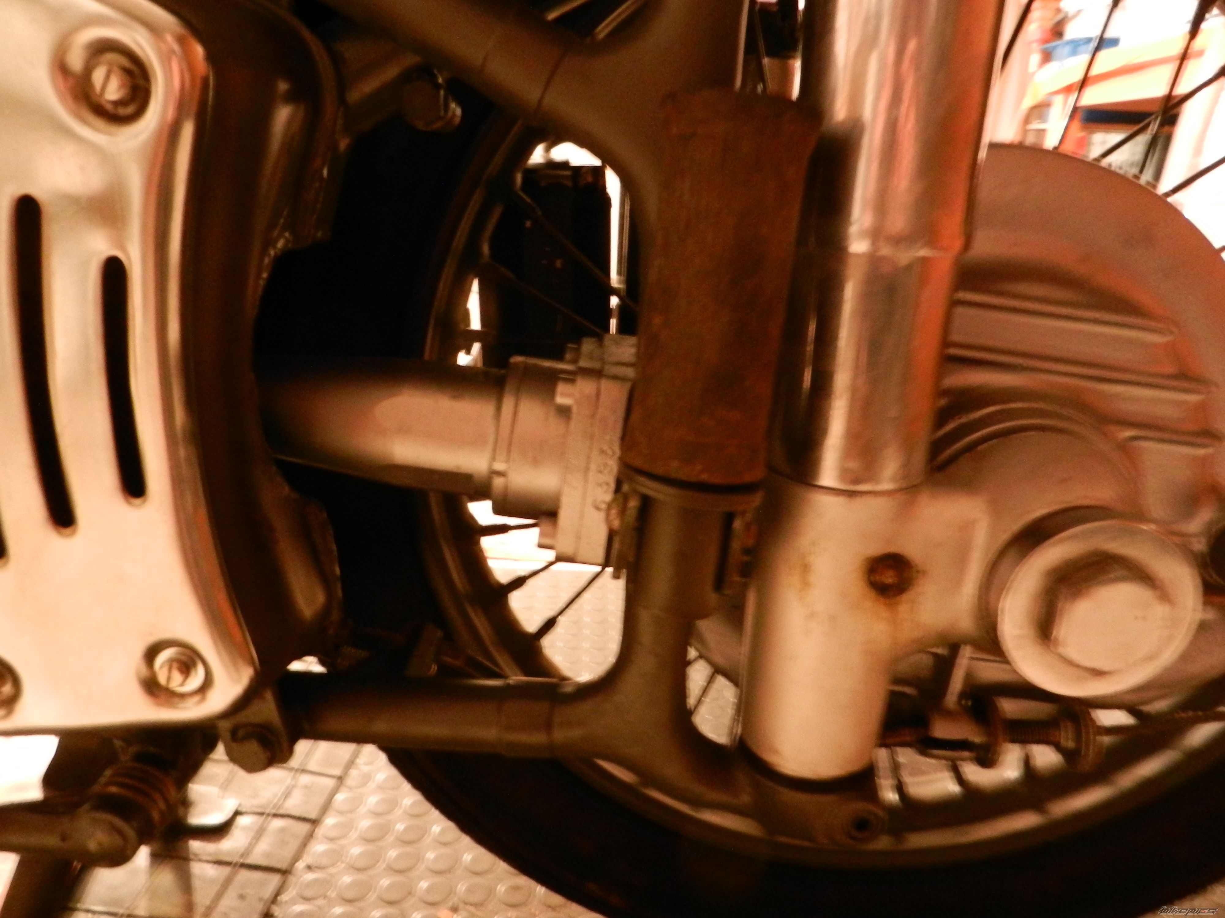 Photo 2331898