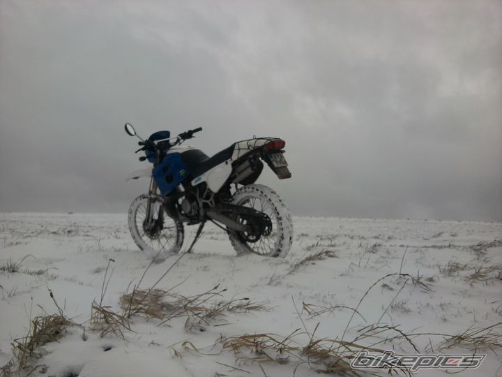 Photo 2331963