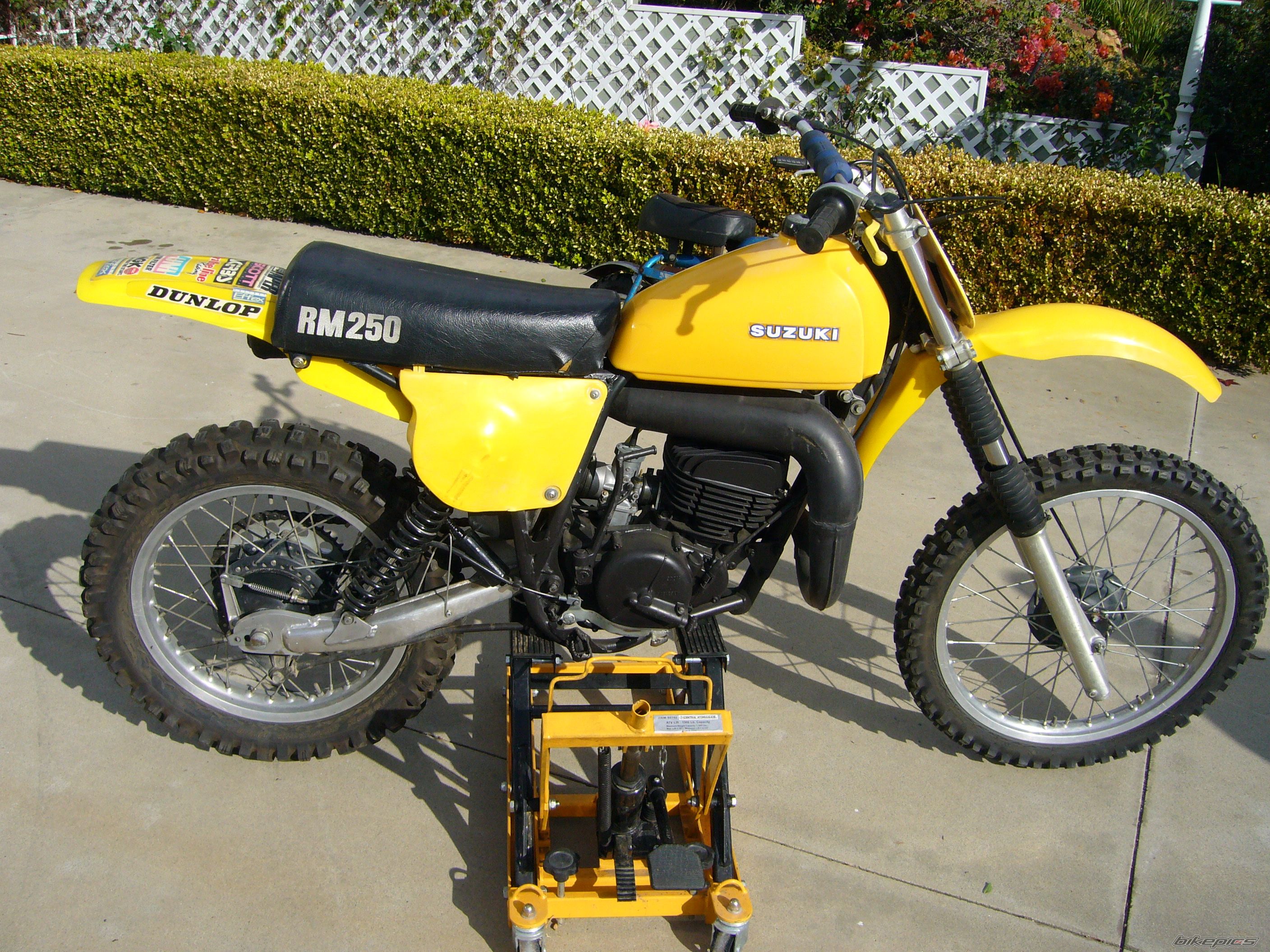 Photo 2331983