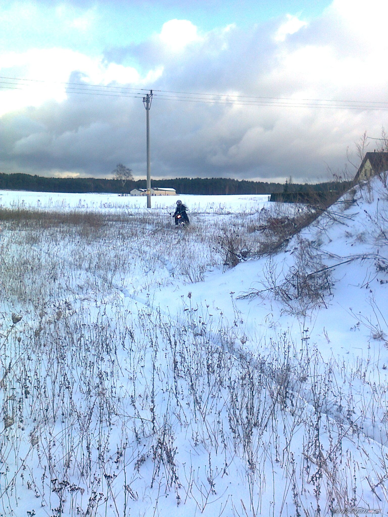 Photo 2332010