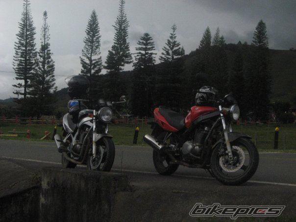 Photo 2332067