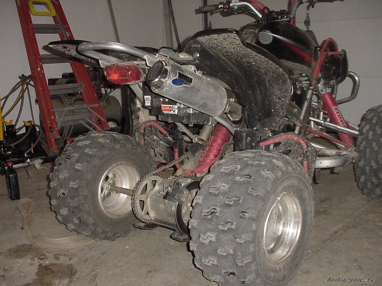 Photo 233224