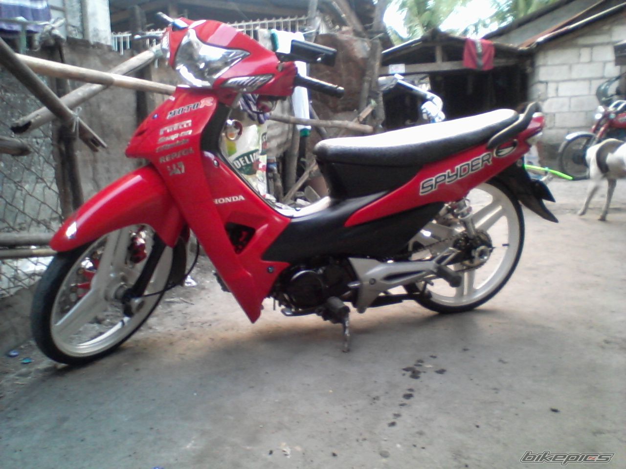 Photo 2332283