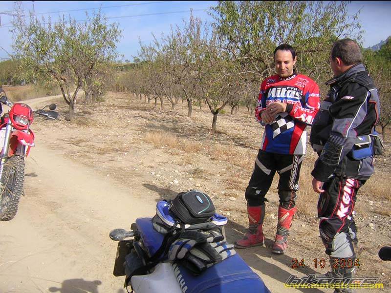Bike Photo 233246