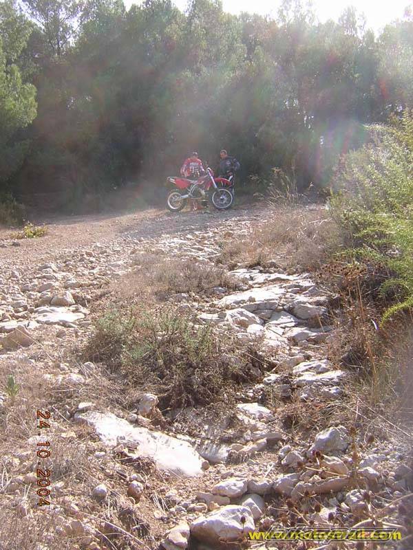 Bike Photo 233247