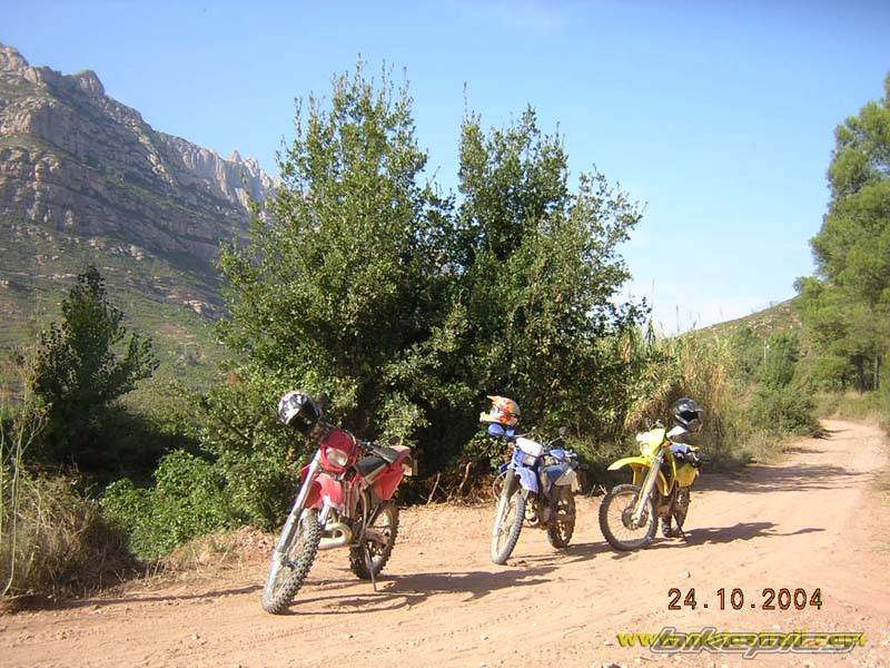 Bike Photo 233249