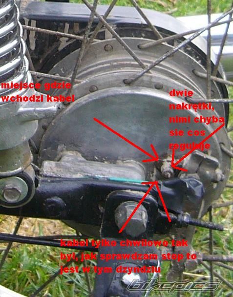 Photo 2332529