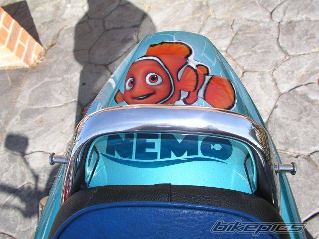 Photo 233255